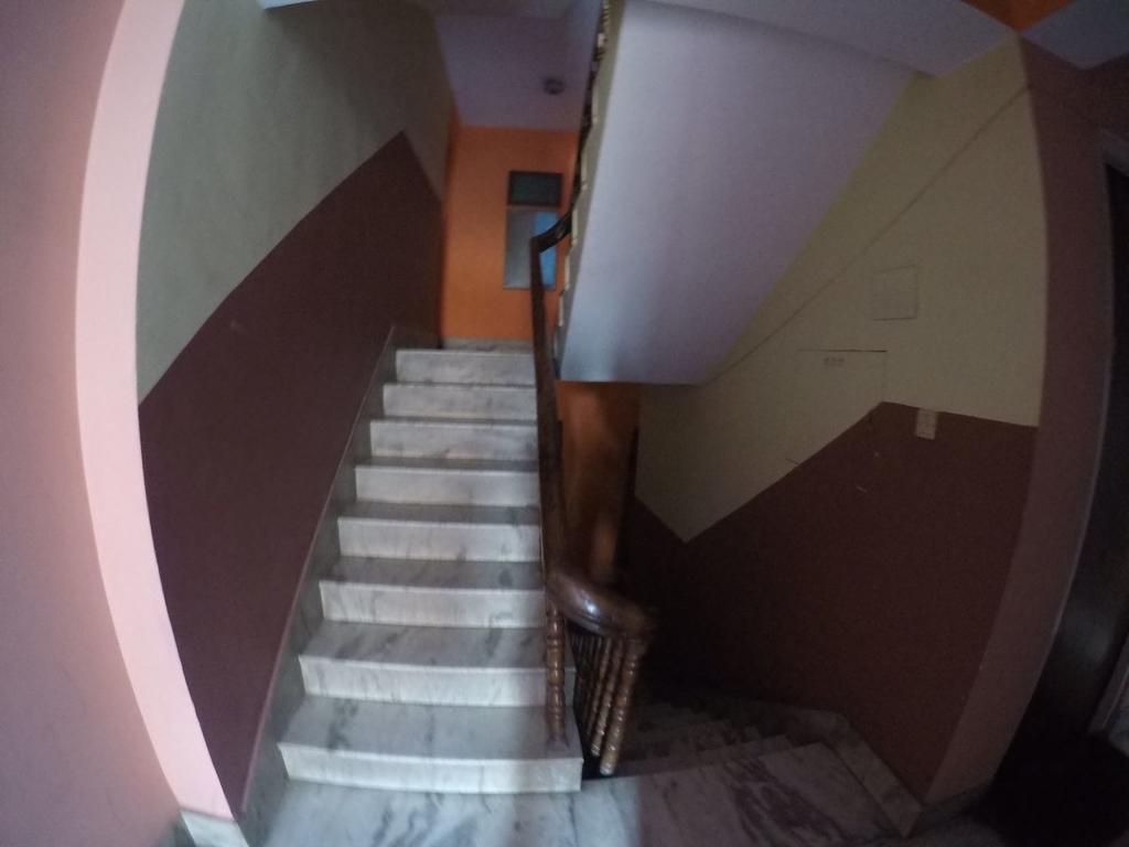 Camera Tripla Standard